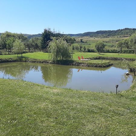 Kacso Apartma Ocna de Sus Exteriér fotografie