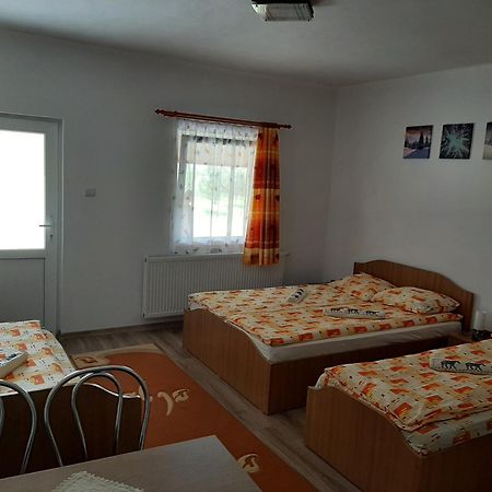 Kacso Apartma Ocna de Sus Exteriér fotografie