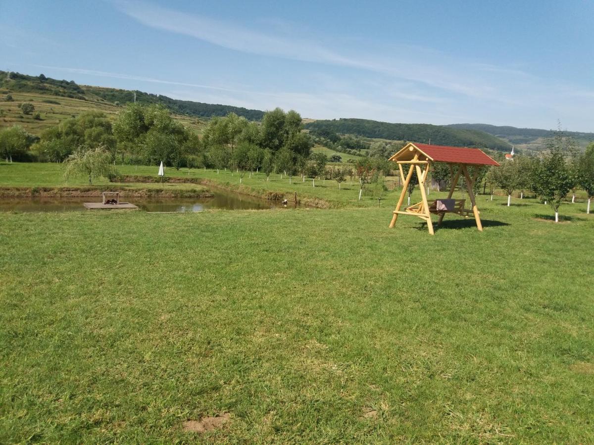 Kacso Apartma Ocna de Sus Exteriér fotografie