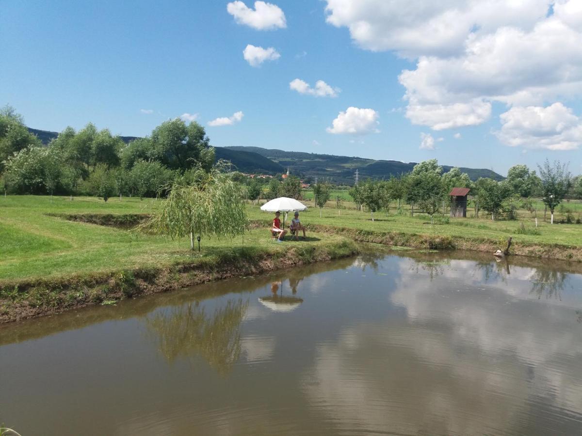 Kacso Apartma Ocna de Sus Exteriér fotografie