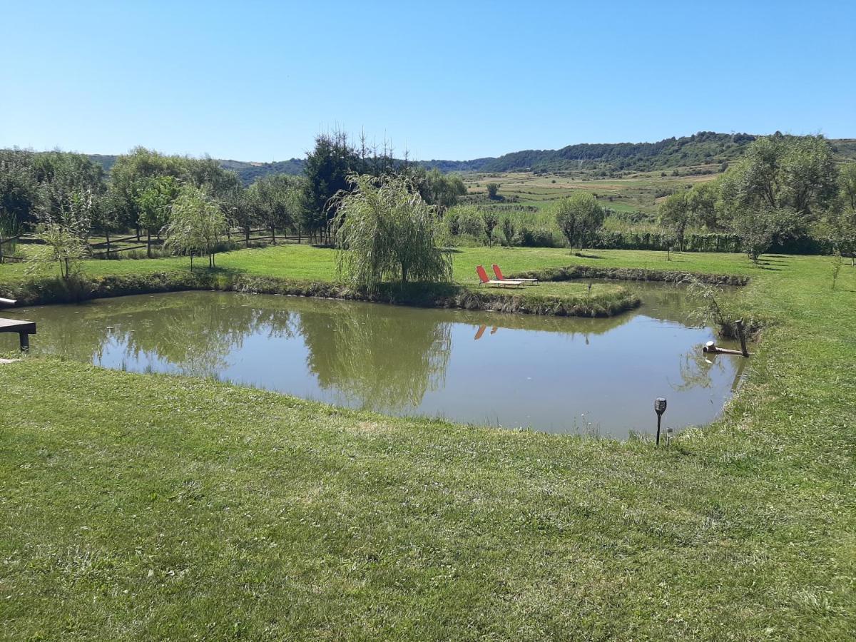Kacso Apartma Ocna de Sus Exteriér fotografie