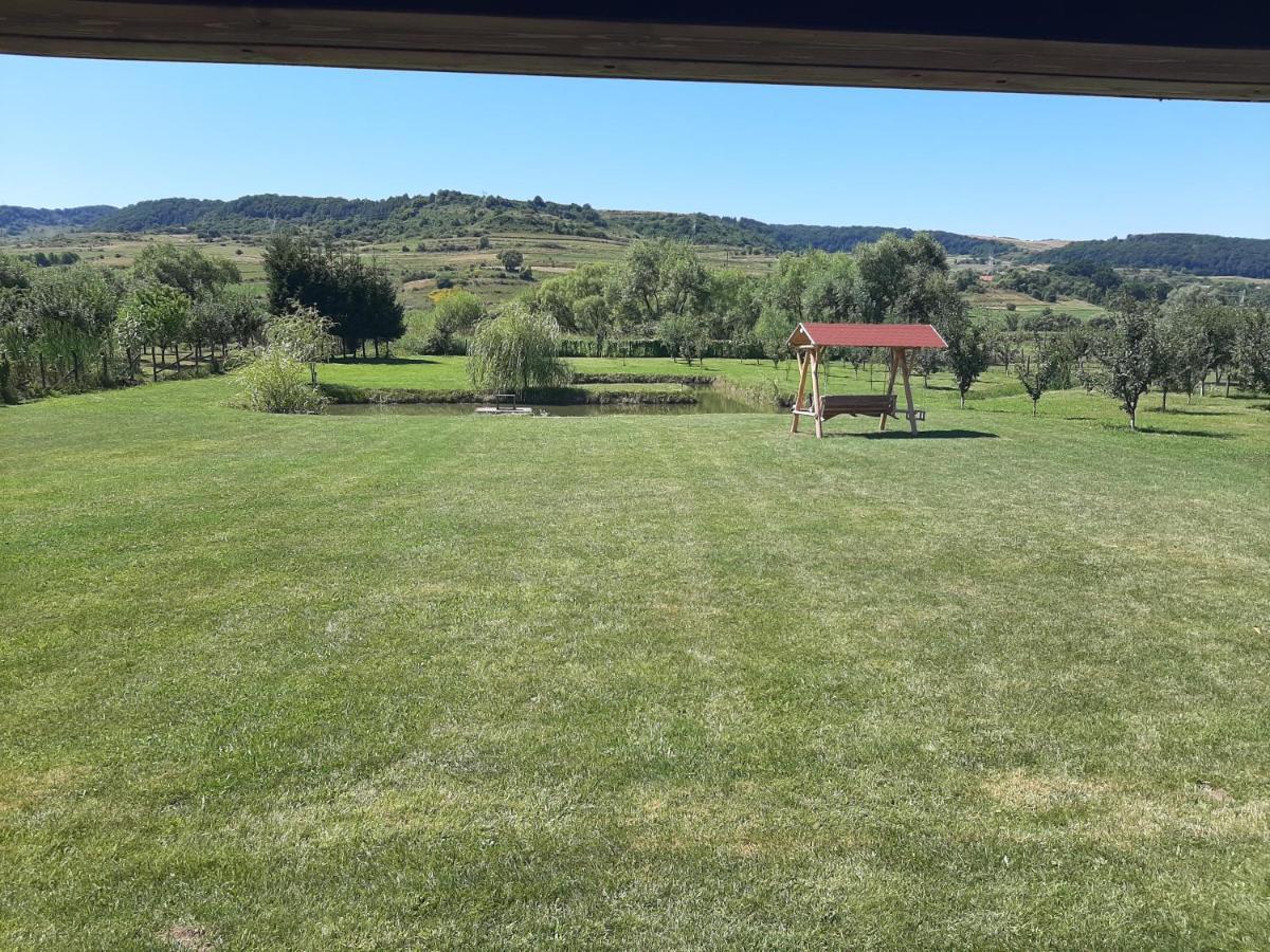 Kacso Apartma Ocna de Sus Exteriér fotografie