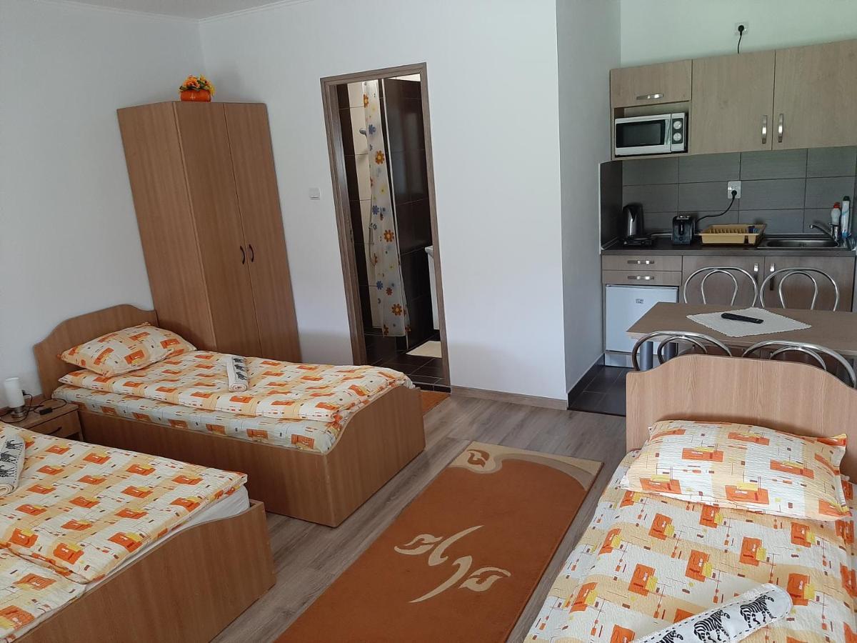 Kacso Apartma Ocna de Sus Exteriér fotografie